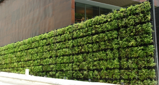 mur-végétal-plantes-vertes-balcon-décoration