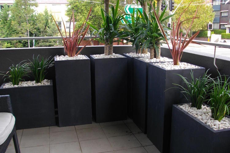 mur-végétal-brise-vue-plantes-pots-isoler-balcon-regards