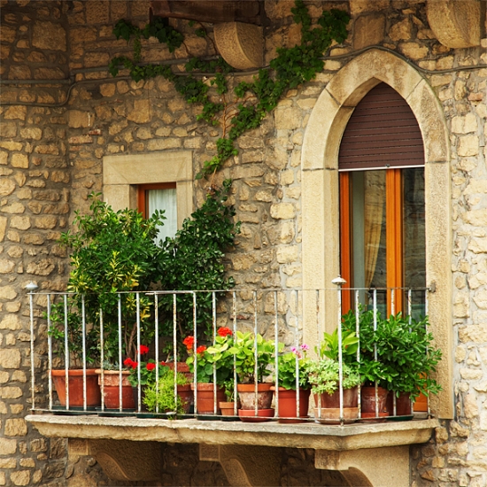 plantes-vertes-balcon-géraniums-pots-fleurs