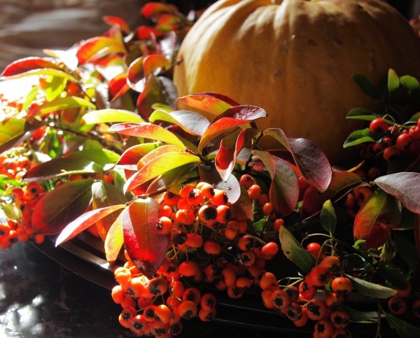 table-basse-idées-de-déco-originales-citrouilles-feuilles