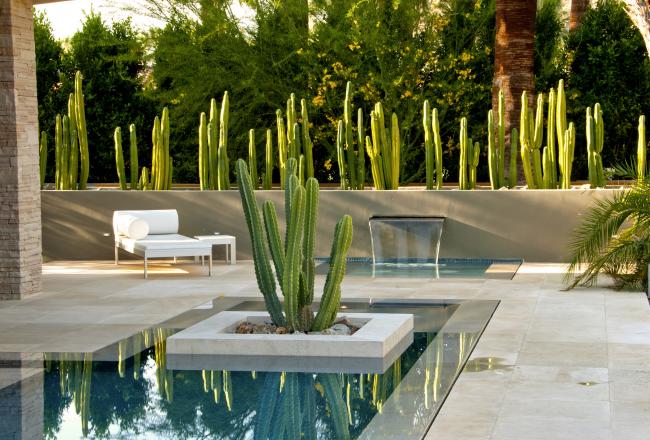 terrasse-piscine-extérieure-cactus-verts-dallage