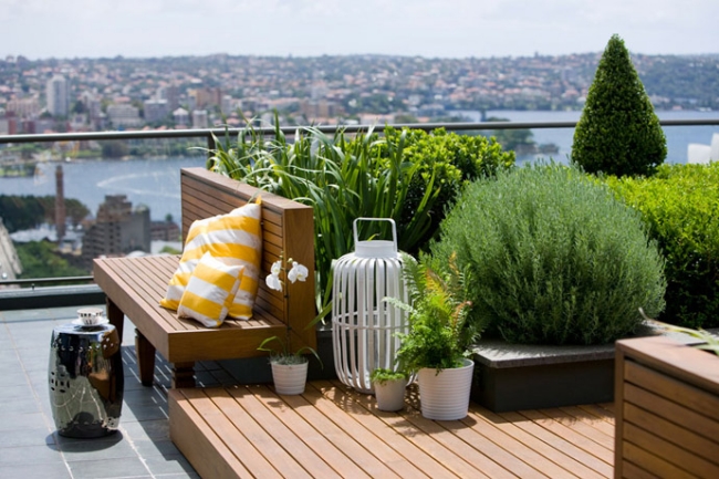 toit-terrasse-plancher-bois-naturel-plantes-luxuriantes