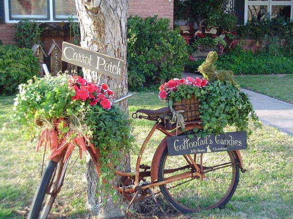 vélo décoration pots fleurs pétunias rouge