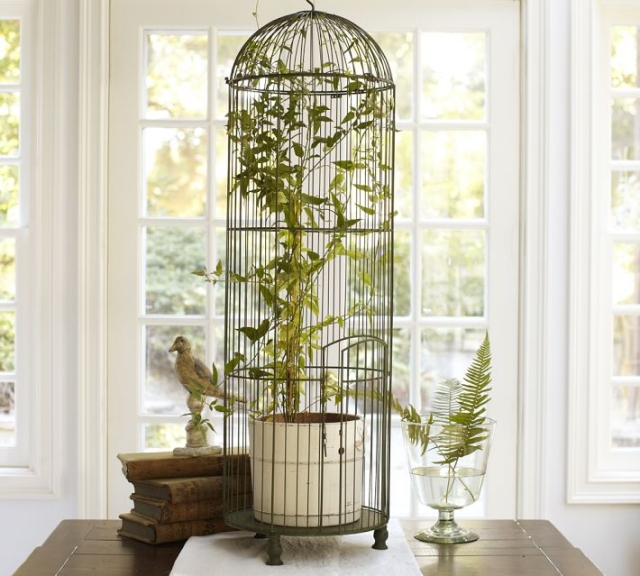accessoire-décoration-cage-plantes