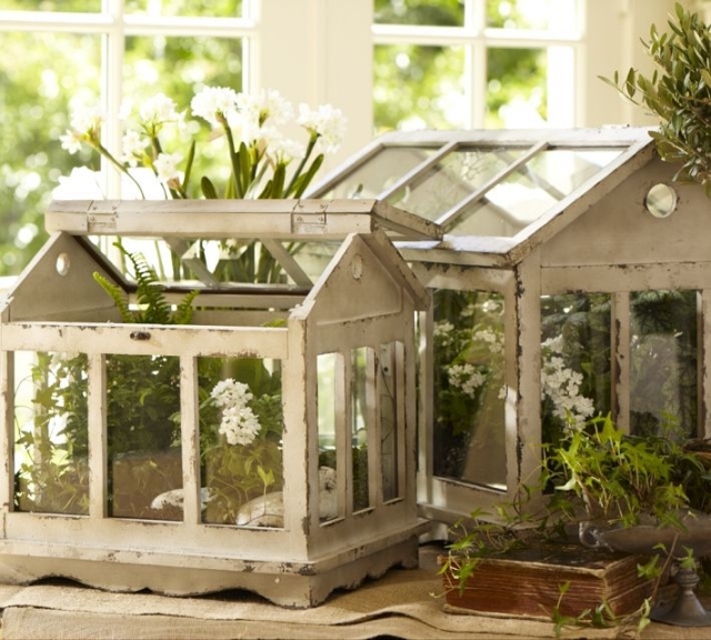 accessoires-décoration-mini-terrarium-plantes Accessoires pour la maison