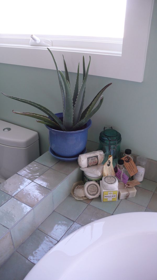 aloès-salle-bains-plante-baignoire plantes dans la salle de bains