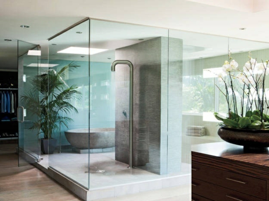 aménagement-salle-de-bains-moderne-mur-transparent