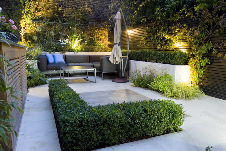 aménagement moderne -patio-bordure-buis-dallage-béton-grand-format-éclairage-extérieur