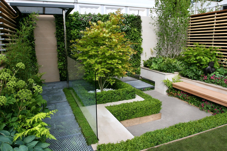 aménagement moderne -patio-érable-japon-buis-bordure-bancs-bois-mur-végétalisé