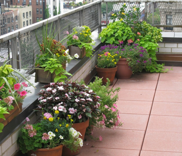 aménagement-de-balcon-fleurs-originales