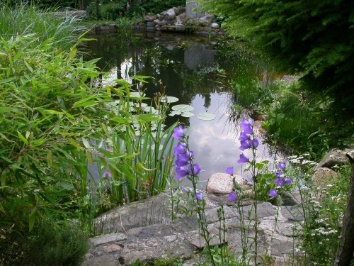 aménagement-de-jardin-laissez-faire