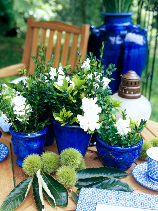aménagement-jardin-décoration-bon-marché-pots-fleurs-bleus
