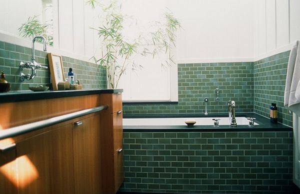 bambou-vert-salle-bains-grand plantes dans la salle de bains