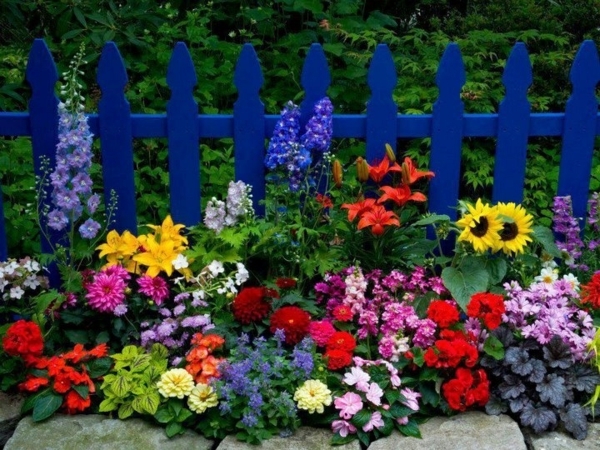 barrière-jardin-bois-peint-bleu-foncé-fleurs-multicolores