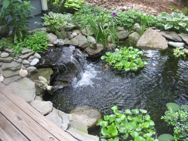 bassin de jardin petite-cascade-plantes-vertes