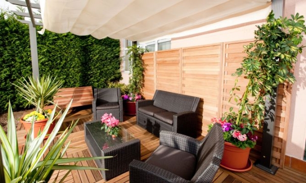 brise vue avec des plantes terrasse-veranda