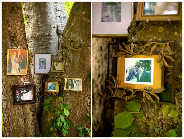cadre-photos-arbre-généalogique-décoration-mariage-jardin