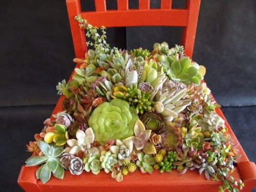 chaise-décorative-orange-cactus-idée