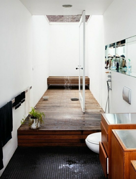 chic-salle-de-bains-moderne-style-Feng-Shui-douche-eau-plafond
