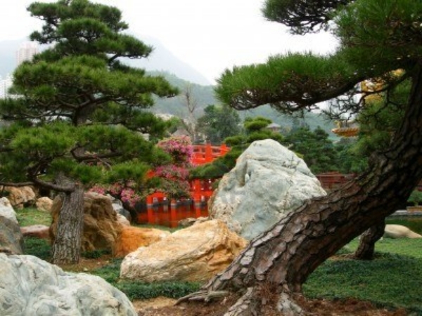 créer-jardin-japonais-en-16 étapes-arbres