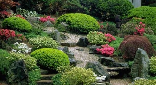 créer-jardin-japonais-en-16 étapes-espèces-végétales
