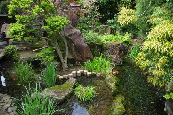 créer-jardin-japonais-en-16 étapes-étang