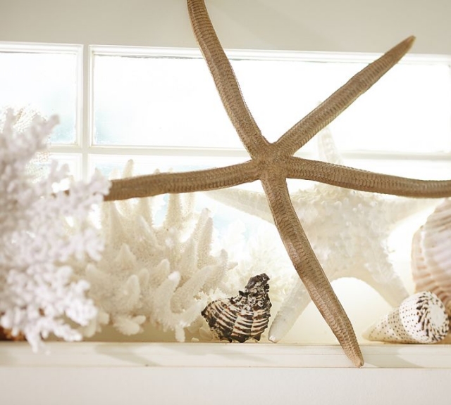 décoration-accessoires-coraux-blancs-étoile-mer