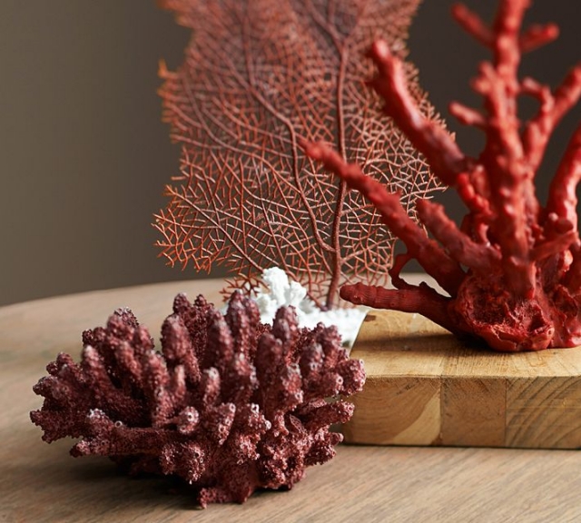 décoration-accessoires-coraux-rouges Accessoires pour la maison