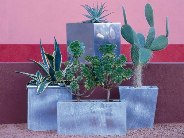 déco de jardin cactus-pot-fleurs-marbre