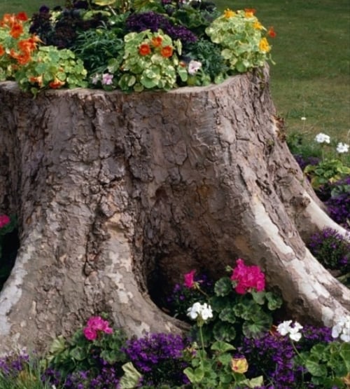 décoration en bois tronc-arbre-cache-pot-fleurs-jardin
