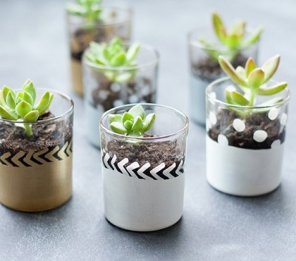 fabriquer-pot-fleurs-miniature-plantes-succulentes
