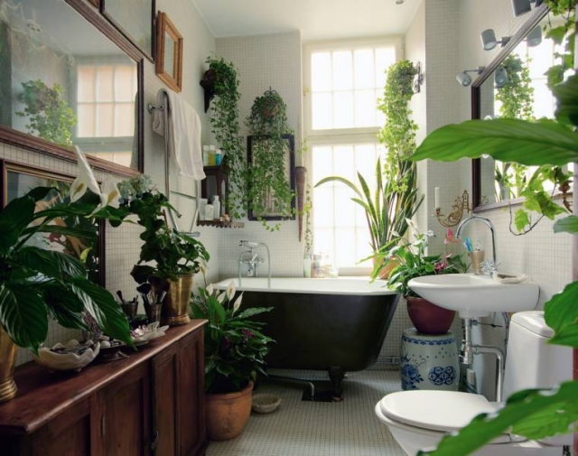 fleurs-salle-bains-exotiques plantes dans la salle de bains