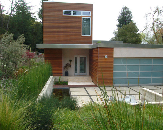 herbe-décorative-aménagement-extérieur-maison-revêtement-bois