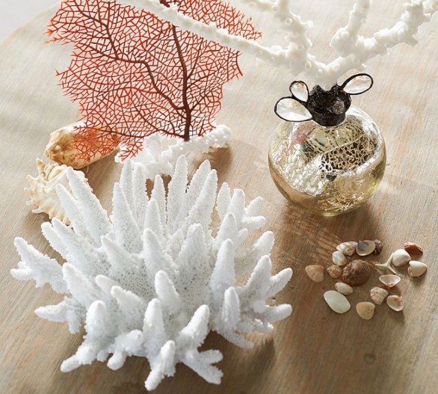 idées-décoration-coraux-blanc-rouge-coquillage