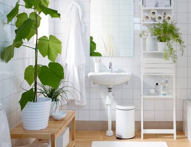 idées-fraiches-orginales-décoration-salle-bains-plantes-vertes