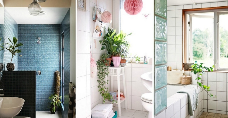 idées-fraiches-plantes-dans-salle-bains-conseils-photos