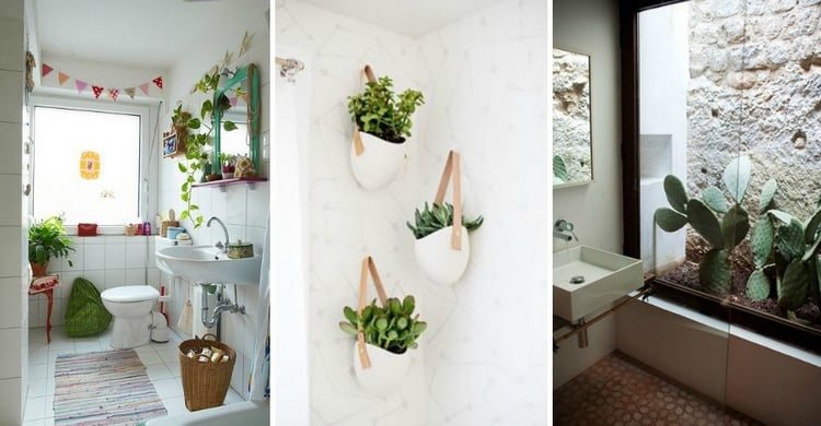 idées-originales-plantes-vertes-rafraichir-salle-bains-blanche