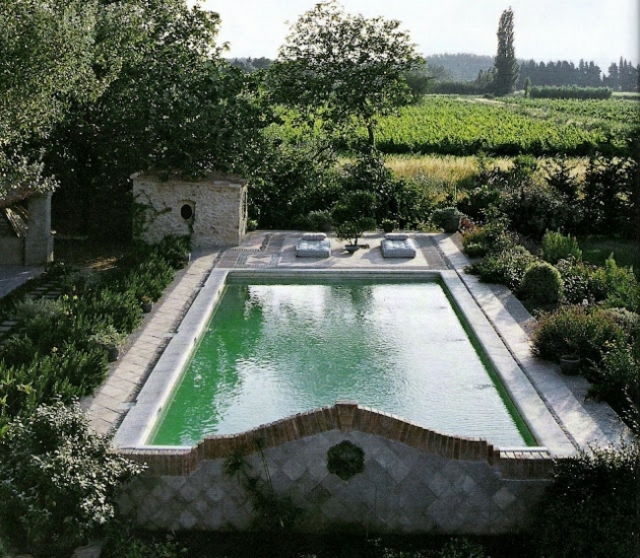 idée-design-piscine-rectangulaire-jardin