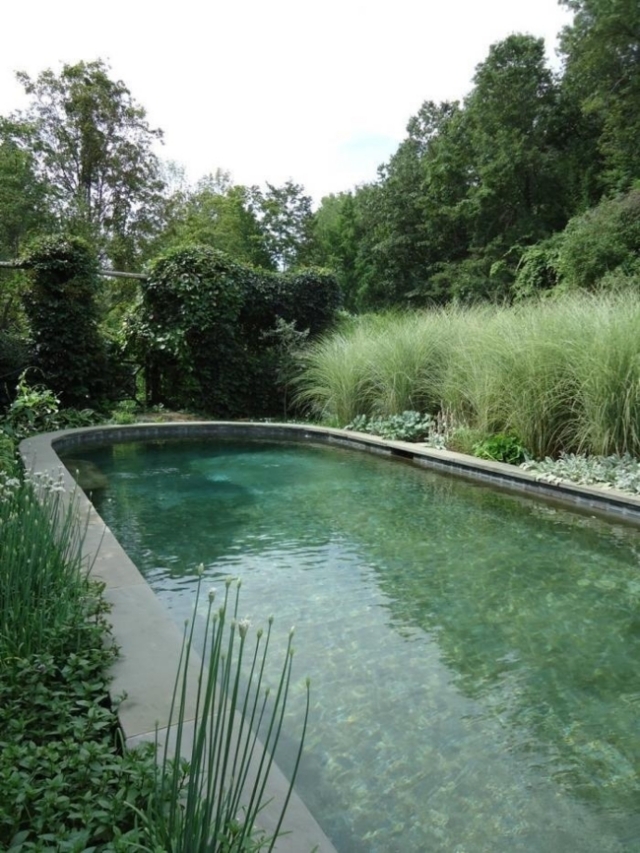 idée-design-piscine-relaxation-jardin
