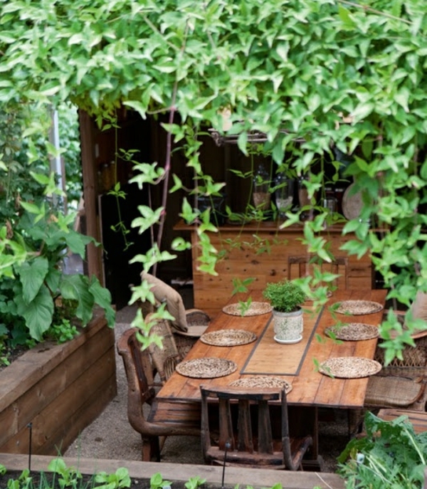 idée-salle-à-manger-moderne-table-bois-verdure-plantes-grimpantes
