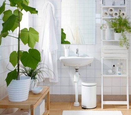 idées-fraiches-orginales-décoration-salle-bains-plantes-vertes