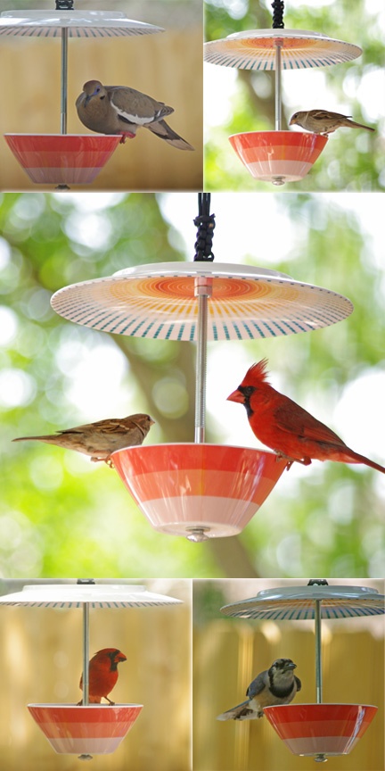 jardin-déco-mangeoire-oiseaux-assiettes idées de décoration de jardin