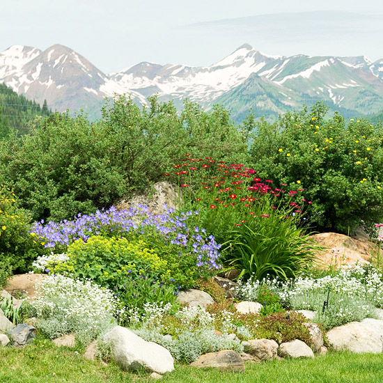 jardin-de-rocaille-alpin-design-arbustres