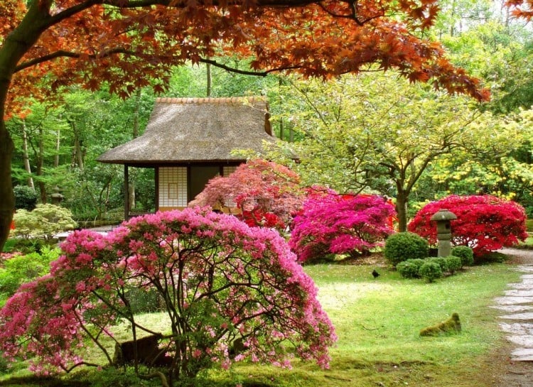 jardin-japonais-buis-arbustes-exotiques-pavillon-assorti