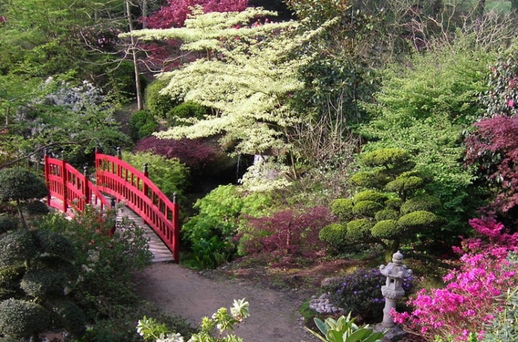 jardin-japonais-pont-décoratif-bois-coloré-rouge-végétation