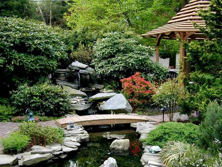 jardin-japonais-végétation-opulente-bassin-eau-pierres-plantes-vertes