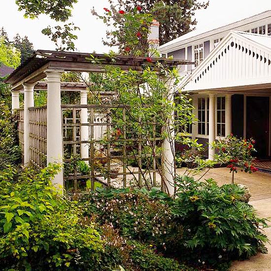 jardin-pergola-bois-plantes-grimpantes pergola sur la terrasse
