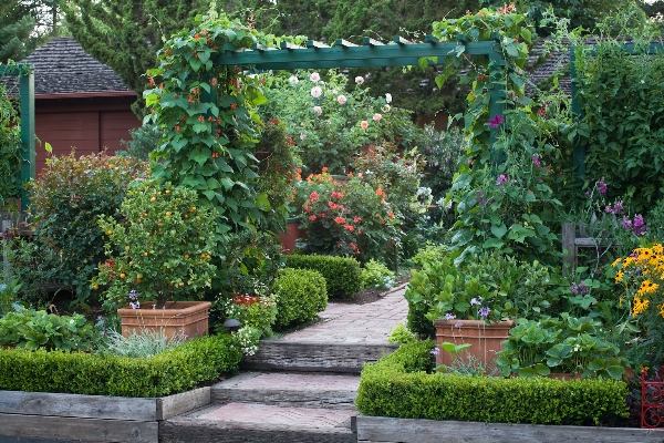 jardin-pergola-plantes-grimpantes-chemin-en-pierres