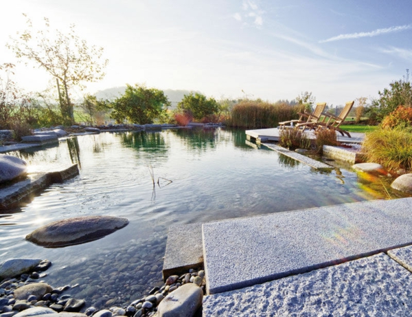 jardin-piscine-naturelle-bassin-natation piscine naturelle dans le jardin