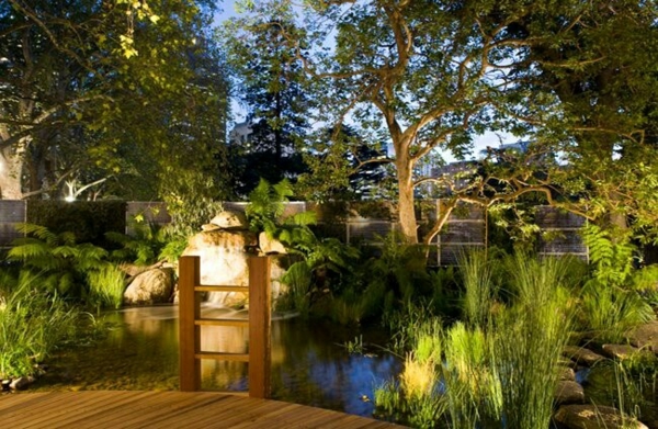 jardin-piscine-naturelle-plantes-épuration piscine naturelle dans le jardin